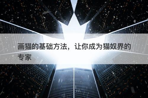 画猫的基础方法，让你成为猫奴界的专家