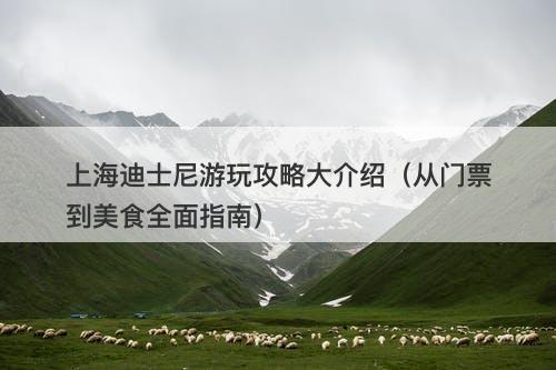 上海迪士尼游玩攻略大介绍（从门票到美食全面指南）