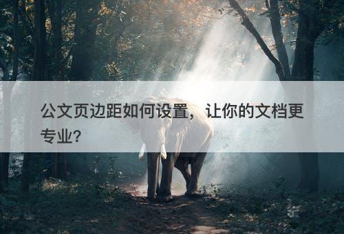 公文页边距如何设置，让你的文档更专业？