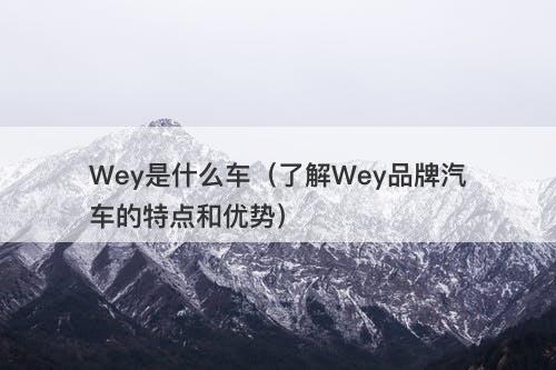 Wey是什么车（了解Wey品牌汽车的特点和优势）