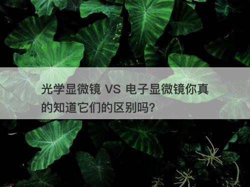 光学显微镜 VS 电子显微镜你真的知道它们的区别吗？