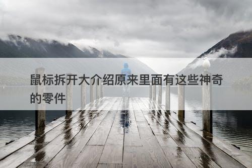 鼠标拆开大介绍原来里面有这些神奇的零件