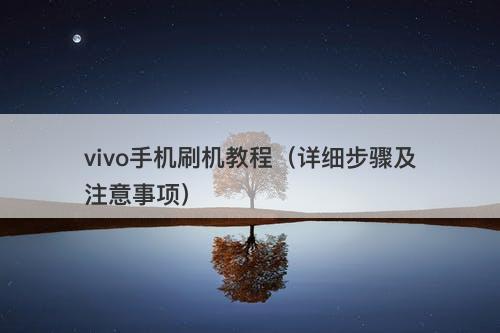 vivo手机刷机教程（详细步骤及注意事项）