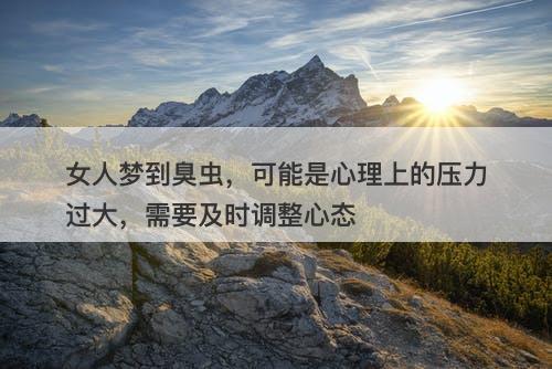 女人梦到臭虫，可能是心理上的压力过大，需要及时调整心态