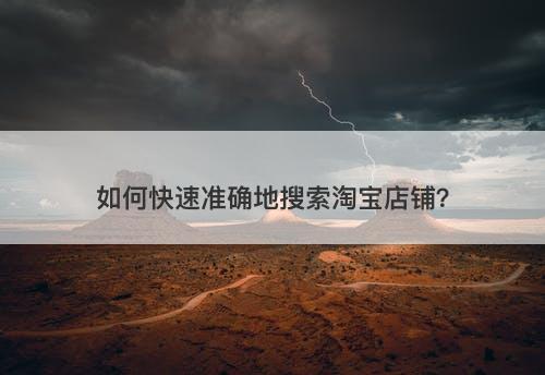 如何快速准确地搜索淘宝店铺？