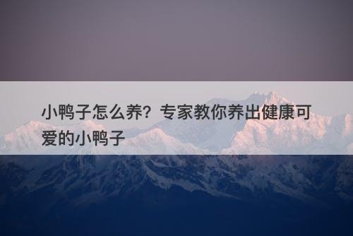 小鸭子怎么养？专家教你养出健康可爱的小鸭子