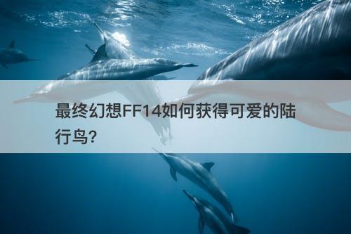 最终幻想FF14如何获得可爱的陆行鸟？