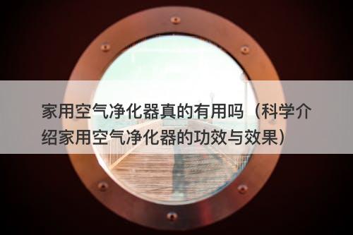 家用空气净化器真的有用吗（科学介绍家用空气净化器的功效与效果）