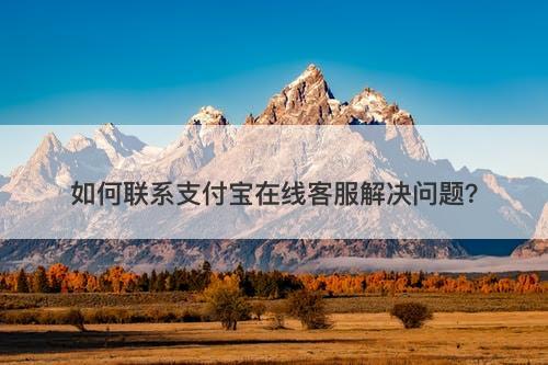 如何联系支付宝在线客服解决问题？