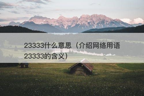 23333什么意思（介绍网络用语23333的含义）