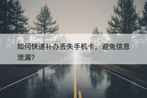 如何快速补办丢失手机卡，避免信息泄漏？