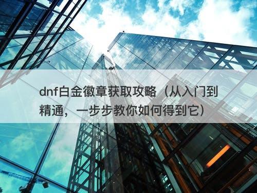 dnf白金徽章获取攻略（从入门到精通，一步步教你如何得到它）