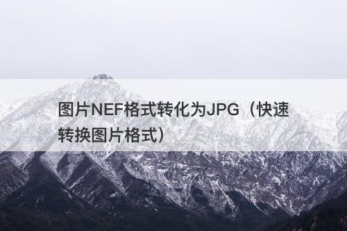 图片NEF格式转化为JPG（快速转换图片格式）-图1