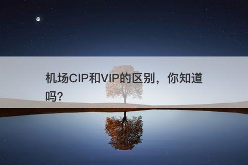 机场CIP和VIP的区别，你知道吗？