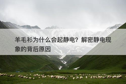 羊毛衫为什么会起静电？解密静电现象的背后原因-图1