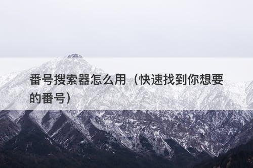 番号搜索器怎么用（快速找到你想要的番号）