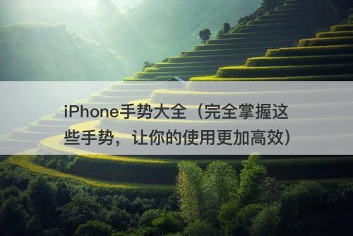 iPhone手势大全（完全掌握这些手势，让你的使用更加高效）