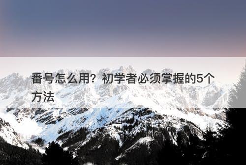 番号怎么用？初学者必须掌握的5个方法-图1