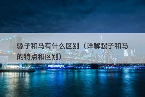 骡子和马有什么区别（详解骡子和马的特点和区别）-图1
