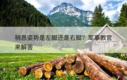 稍息姿势是左脚还是右脚？军事教官来解答-图1