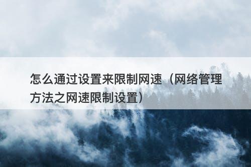 怎么通过设置来限制网速（网络管理方法之网速限制设置）-图1