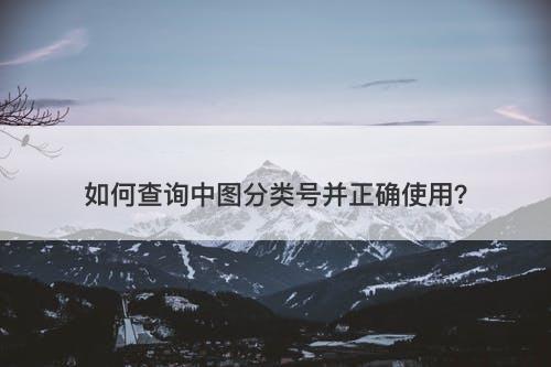 如何查询中图分类号并正确使用？