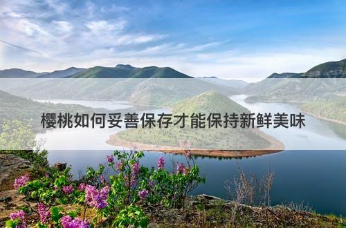 樱桃如何妥善保存才能保持新鲜美味