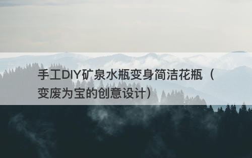 手工DIY矿泉水瓶变身简洁花瓶（变废为宝的创意设计）
