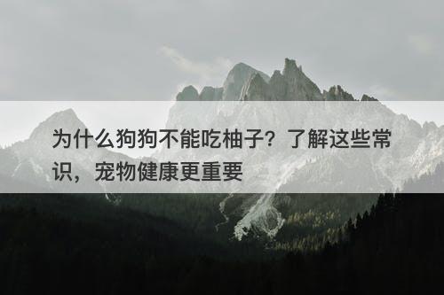 为什么狗狗不能吃柚子？了解这些常识，宠物健康更重要
