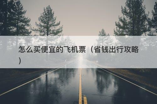 怎么买便宜的飞机票（省钱出行攻略）