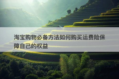 淘宝购物必备方法如何购买运费险保障自己的权益