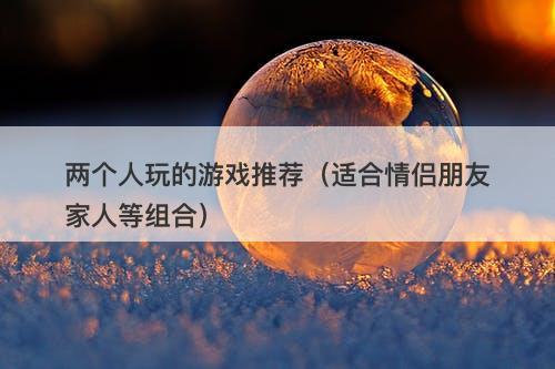 两个人玩的游戏推荐（适合情侣朋友家人等组合）