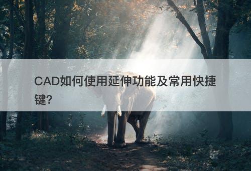 CAD如何使用延伸功能及常用快捷键？-图1