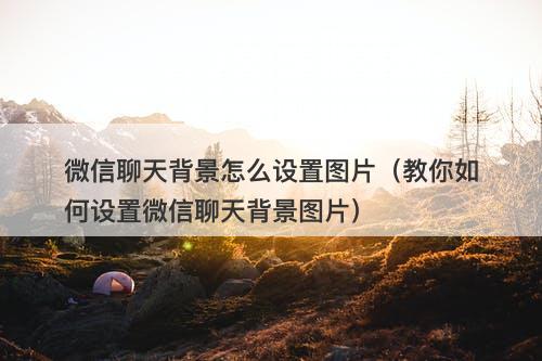 微信聊天背景怎么设置图片（教你如何设置微信聊天背景图片）