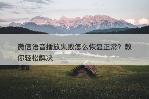 微信语音播放失败怎么恢复正常？教你轻松解决