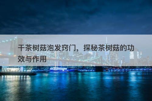 干茶树菇泡发窍门，探秘茶树菇的功效与作用
