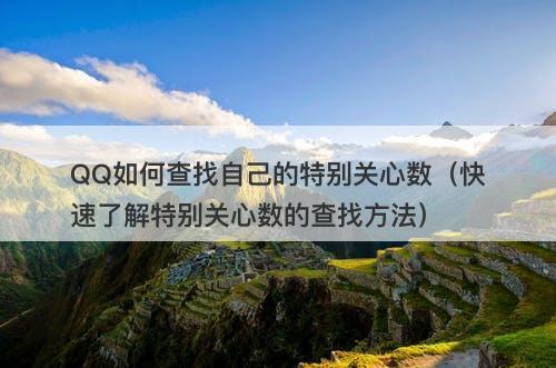 QQ如何查找自己的特别关心数（快速了解特别关心数的查找方法）