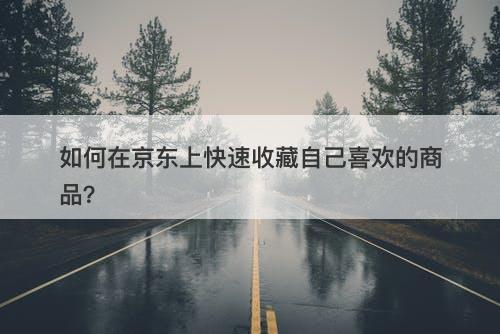 如何在京东上快速收藏自己喜欢的商品?-图1 如何在京东上快速收藏自己喜欢的商品?-图1