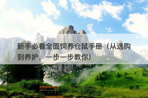 新手必看全面饲养仓鼠手册（从选购到养护，一步一步教你）-图1