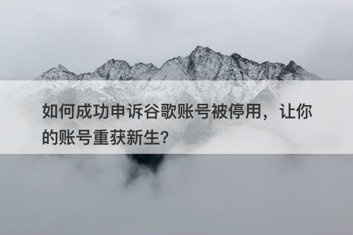 如何成功申诉谷歌账号被停用，让你的账号重获新生？