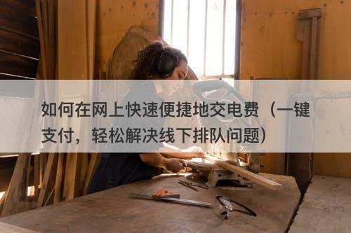 如何在网上快速便捷地交电费（一键支付，轻松解决线下排队问题）