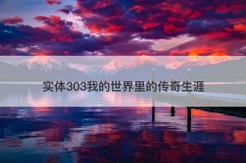 实体303我的世界里的传奇生涯