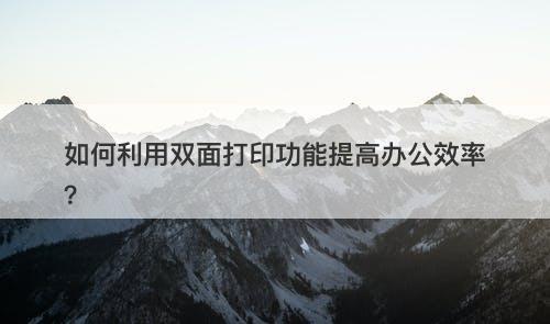 如何利用双面打印功能提高办公效率？