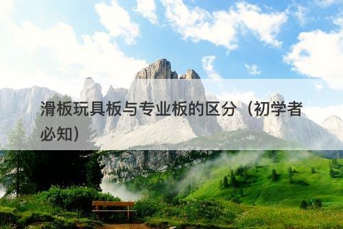 滑板玩具板与专业板的区分（初学者必知）-图1