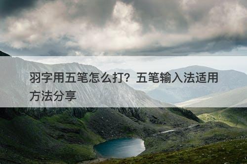 羽字用五笔怎么打？五笔输入法适用方法分享-图1