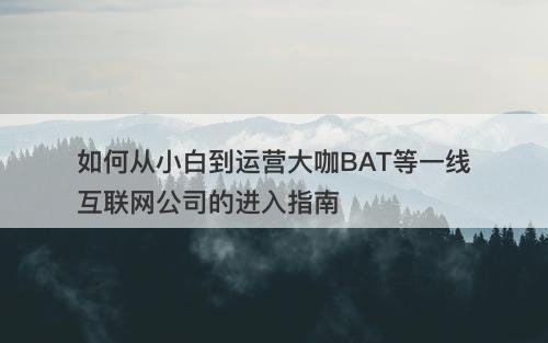 如何从小白到运营大咖BAT等一线互联网公司的进入指南