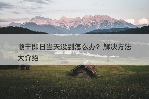 顺丰即日当天没到怎么办？解决方法大介绍-图1