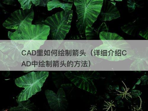 CAD里如何绘制箭头（详细介绍CAD中绘制箭头的方法）