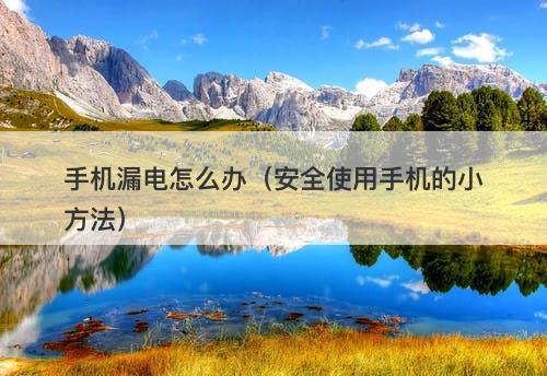 手机漏电怎么办（安全使用手机的小方法）