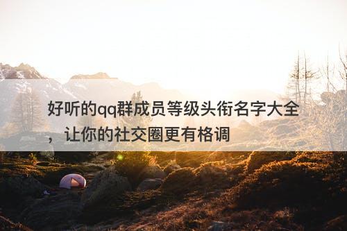 好听的qq群成员等级头衔名字大全，让你的社交圈更有格调